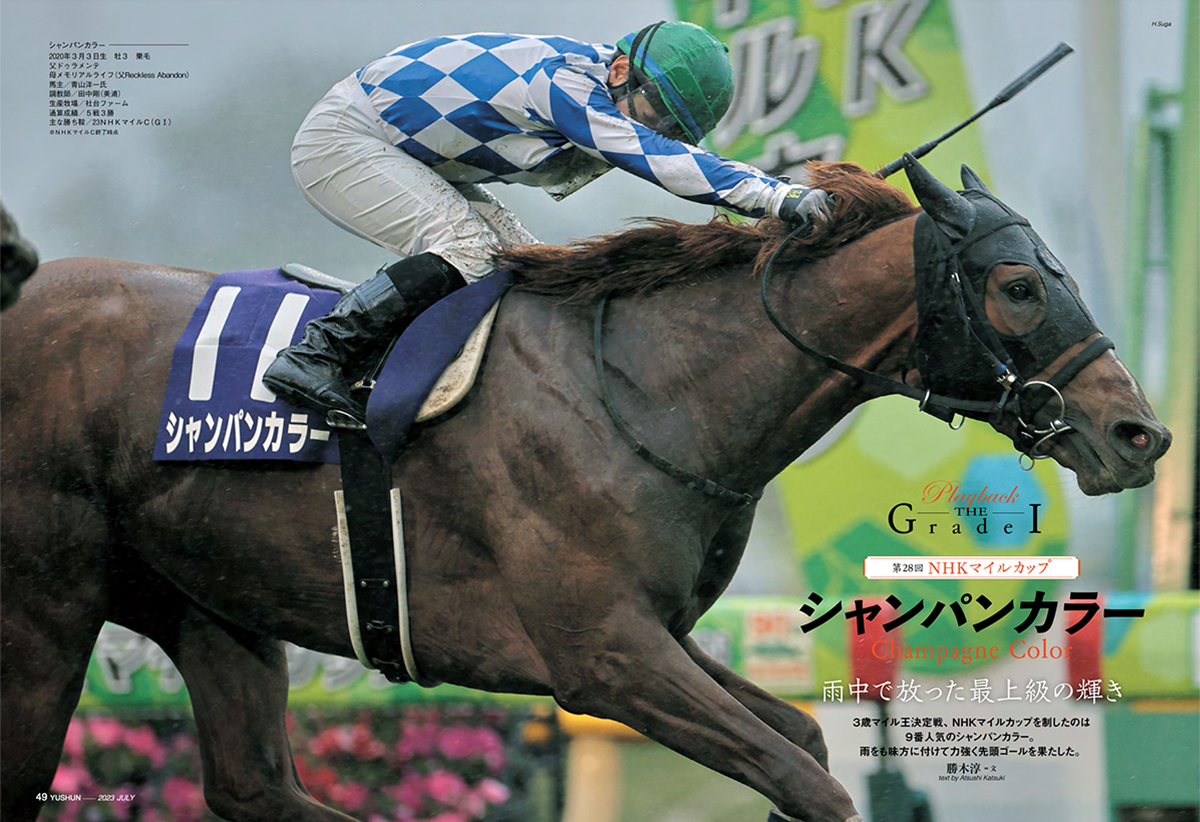 【世界に誇る快足牝馬】『アーモンドアイ』ＪＣラストラン・コンプリートセット アーモンドアイ サラブレッドホースコレクション 金箔 サイン