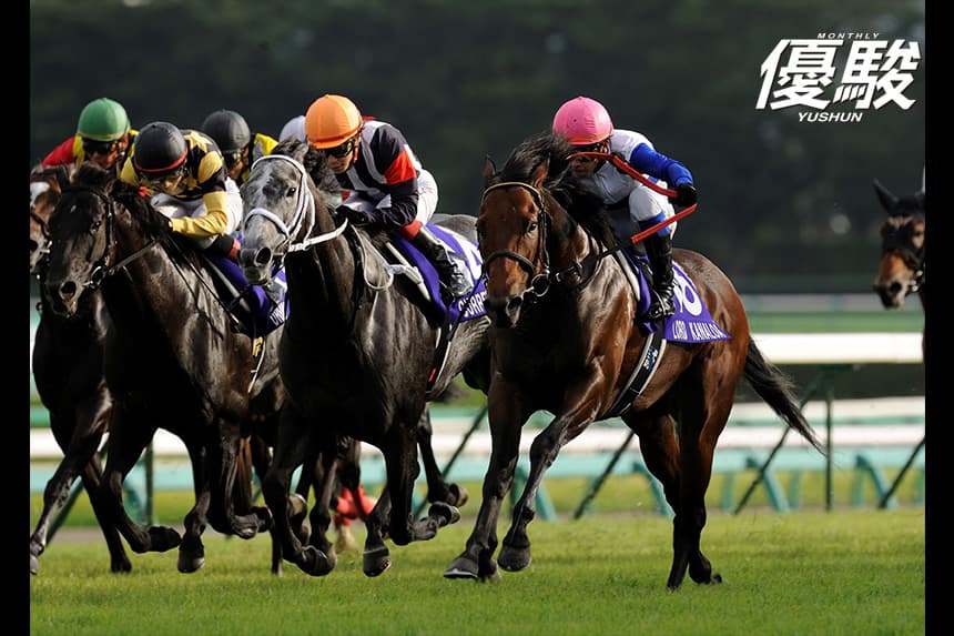 ロードカナロア ベスト 龍王 安田厩舎 ジャンパー ブルゾン 競馬 高松宮記念】ロードカナロア管理した安田隆厩舎、ダノン