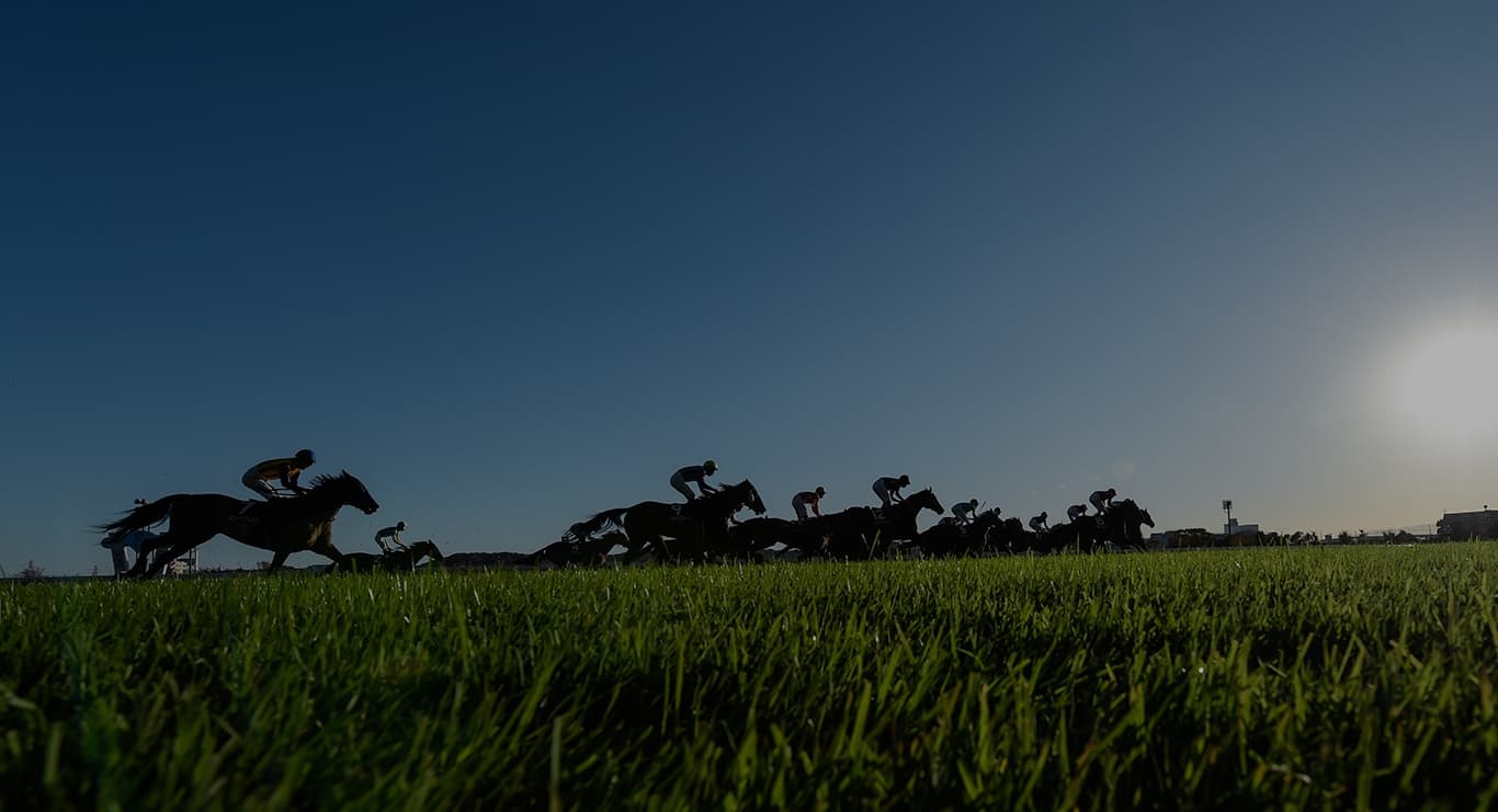 競馬場レースイメージ