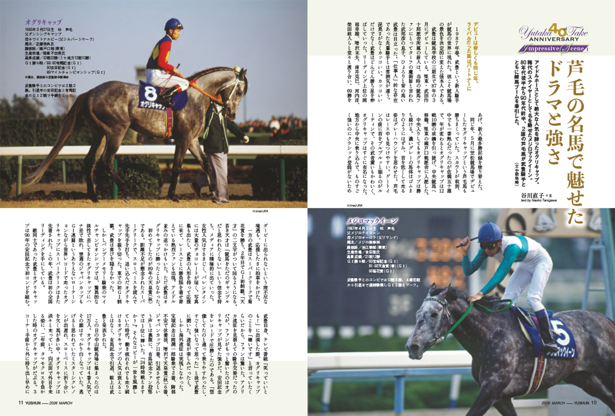 芦毛の名馬で魅せたドラマと強さ